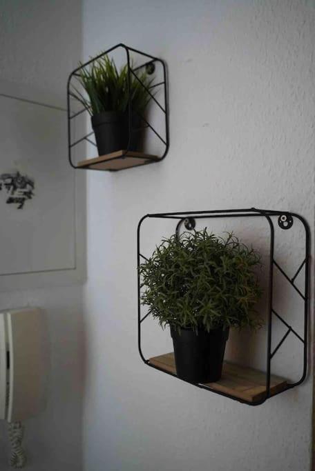 Luftiges Apartment Im Herzen Von Dresde Extérieur photo